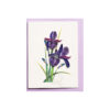 CT2NN106035NN - Quilling Arts - VIET NET - Crafted Gifts By Hand And Heart