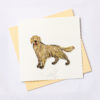 VN2XM1150NINN - Quilling Arts - VIET NET - Crafted Gifts By Hand And Heart